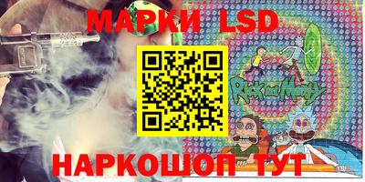 стаф Бузулук