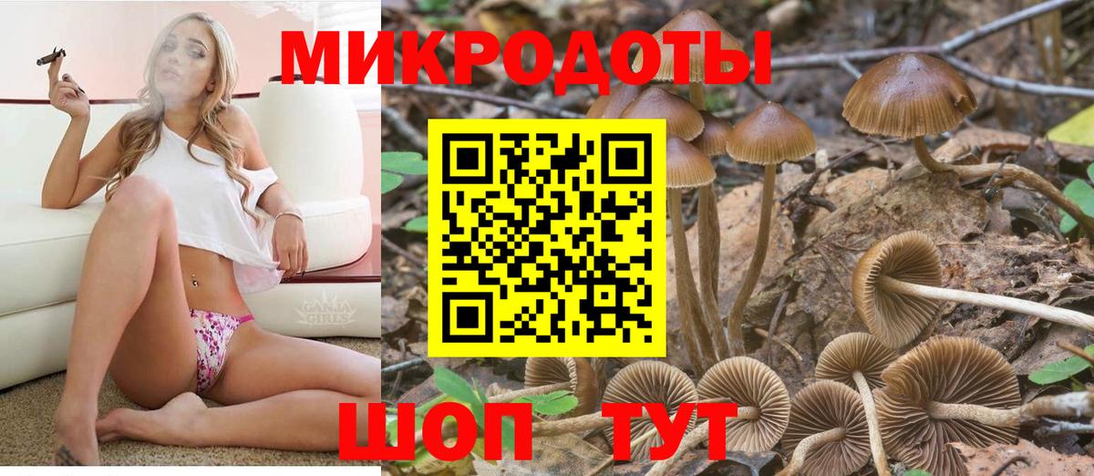 Псилоцибиновые грибы ЛСД Тосно