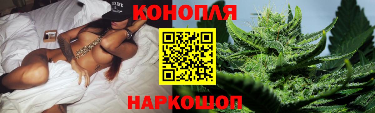 Бошки Шишки тримм  Каннабис план  Каннабис конопля  Тосно  Вход с VPN 